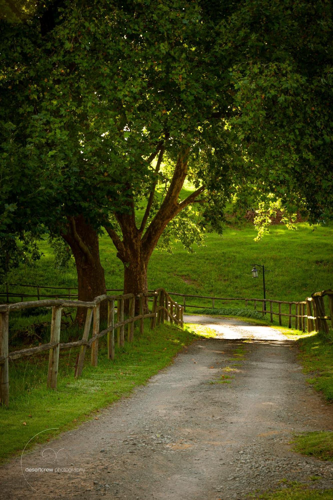Newstead Farm - Country Cottages Curryʼs Post 外观 照片