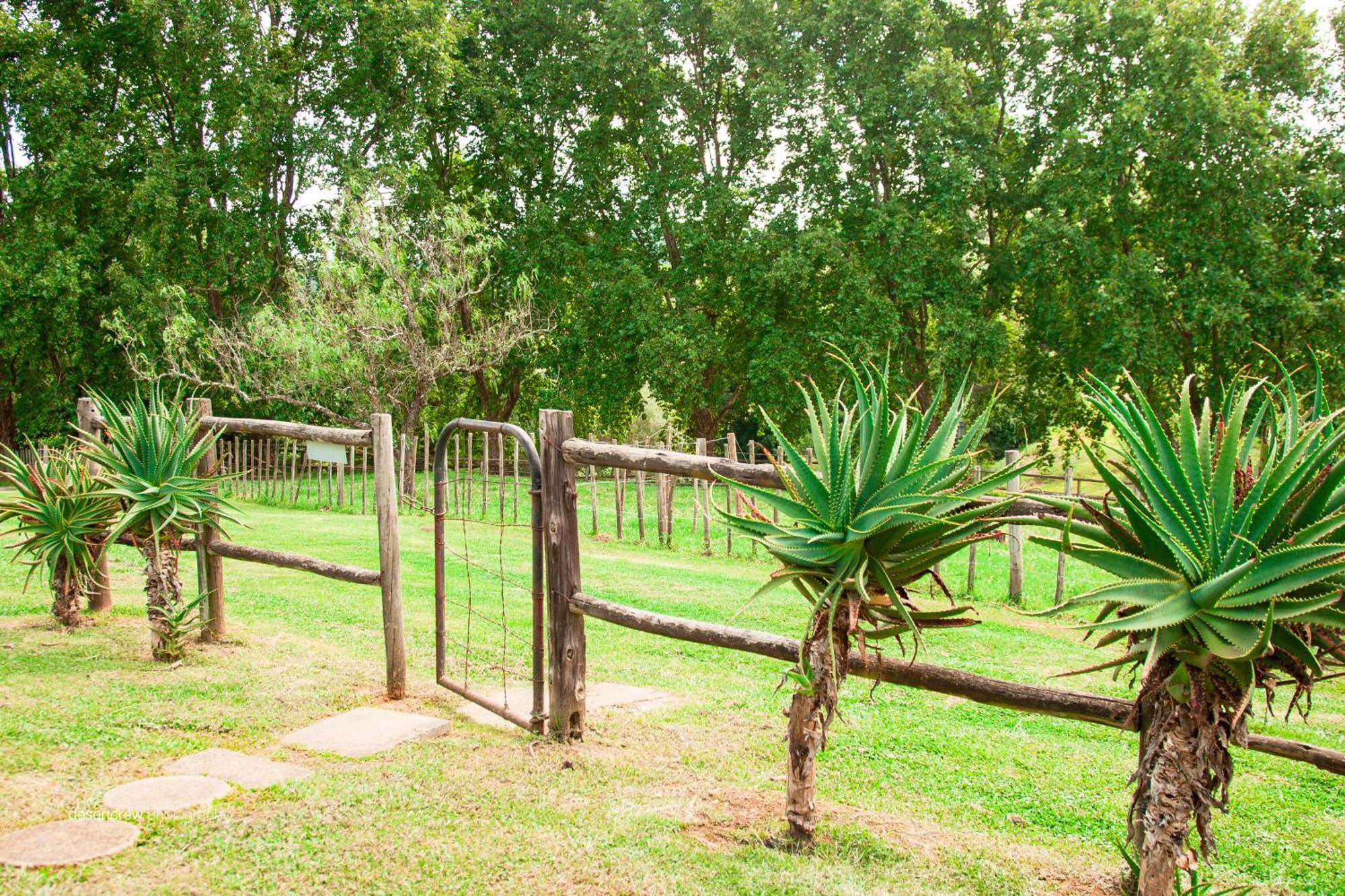 Newstead Farm - Country Cottages Curryʼs Post 外观 照片
