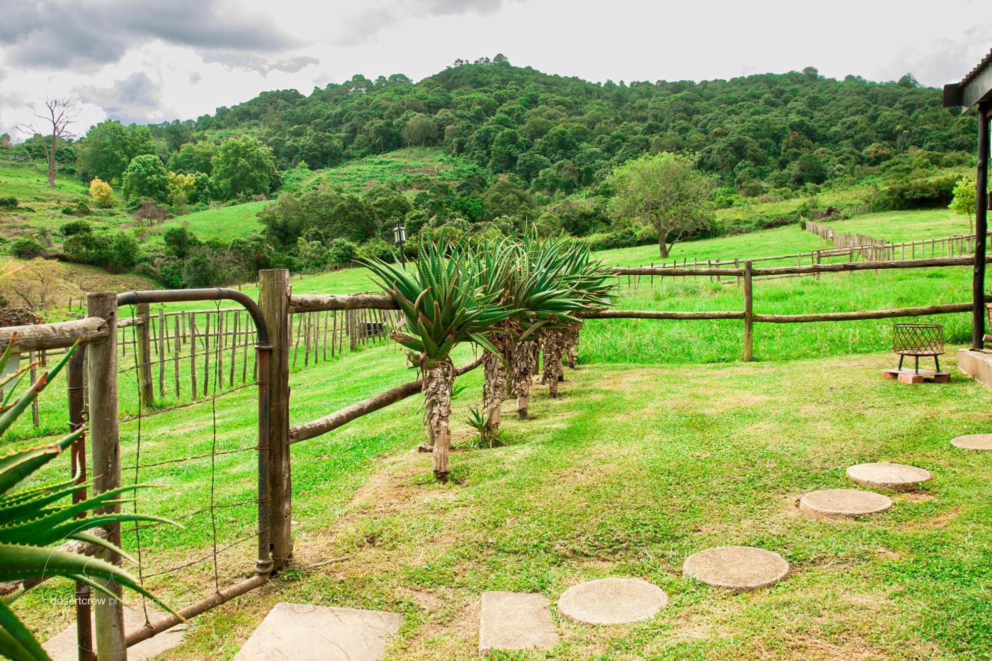 Newstead Farm - Country Cottages Curryʼs Post 外观 照片